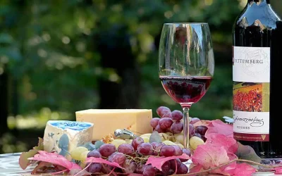 Comment choisir le bon vin pour chaque occasion